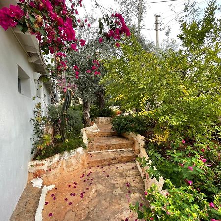 Kaktus Beach Apart Kaş Esterno foto
