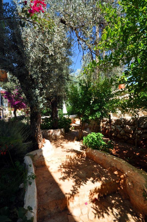 Kaktus Beach Apart Kaş Esterno foto
