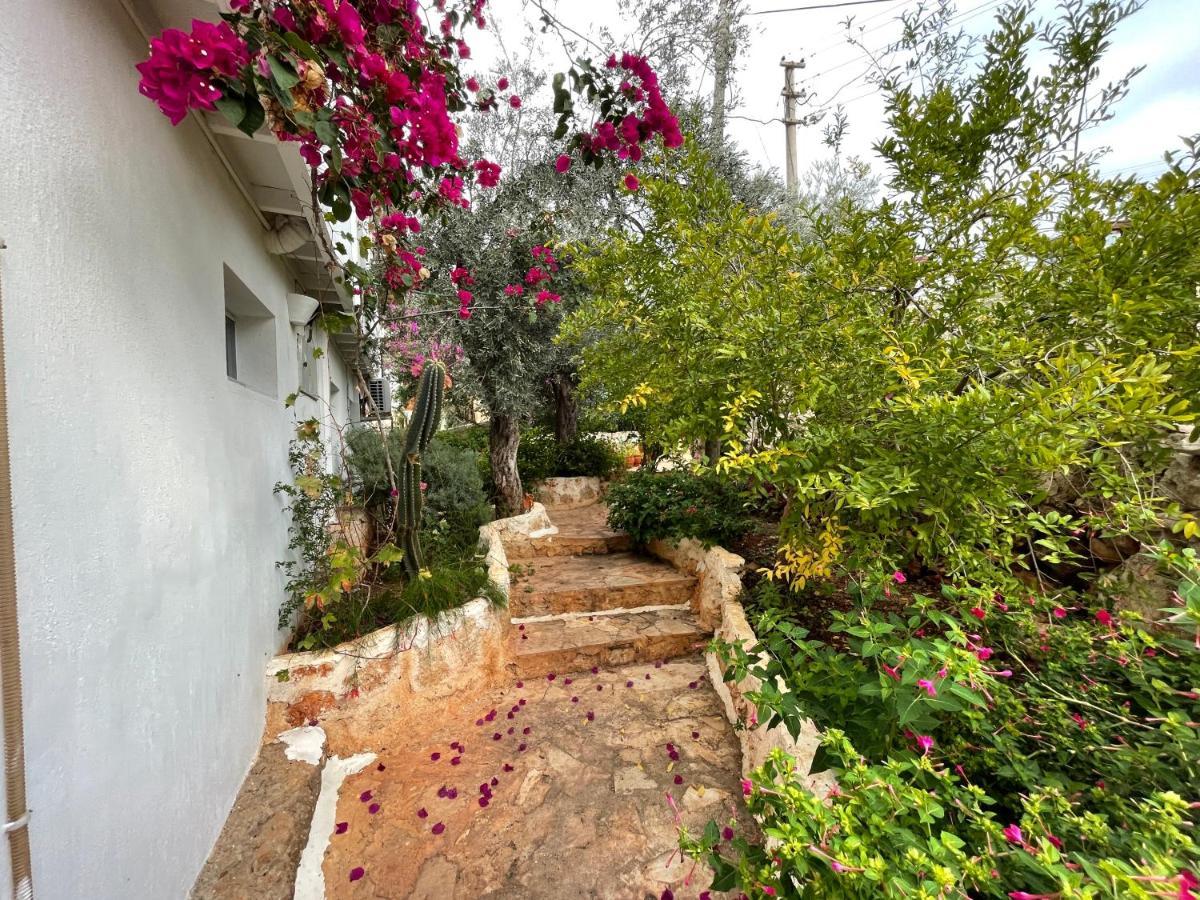 Kaktus Beach Apart Kaş Esterno foto